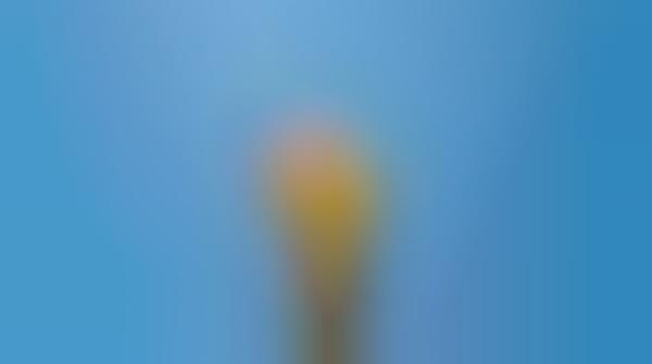 Melting Ice Cream Timelapses