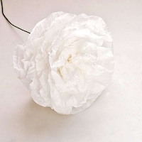Flowered Coffee Filters Image 5