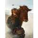Eccentric Equestrian Fashion Campaigns Image 3