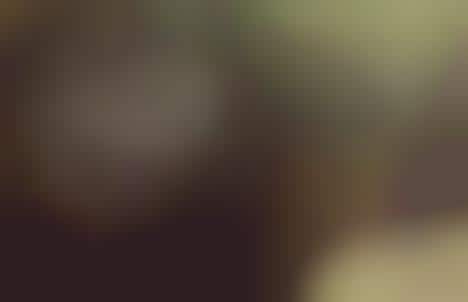 Sun-Soaked Celeb Editorials