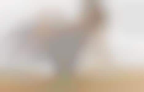 Luxe Monochrome Editorials