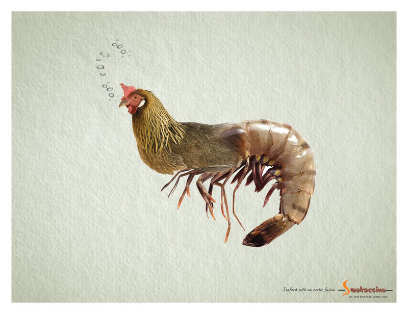 Animal Hybrid Ads