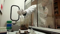 Green Mining Solutions Image 6