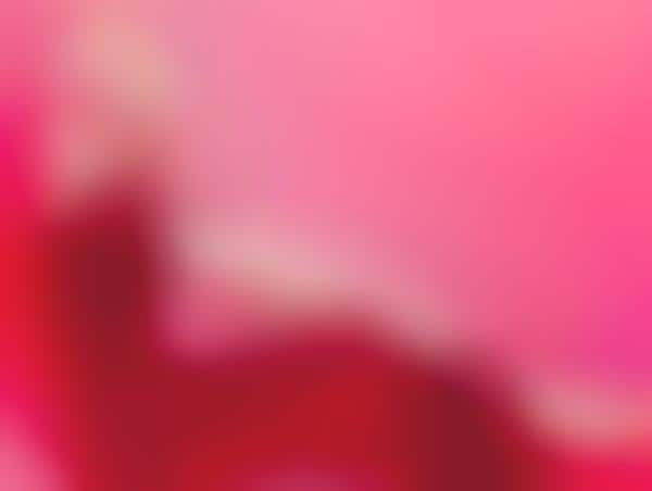 Crimson-Clad Siren Portraits