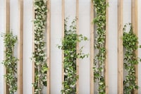 Eco Greenery Abodes Image 8