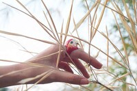 Exotic Avian Jewelry Image 8