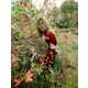 Surreal Sorcerer Style Editorials Image 7