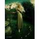 Surreal Sorcerer Style Editorials Image 8