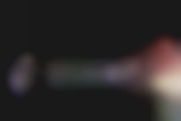 Organic Immersive Exhibitions