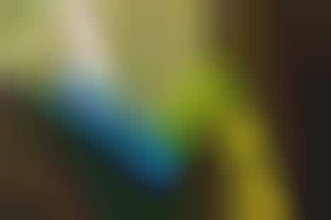 Eco-Friendly Wine Packaging