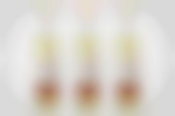 Tantalizing Agave Tequilas