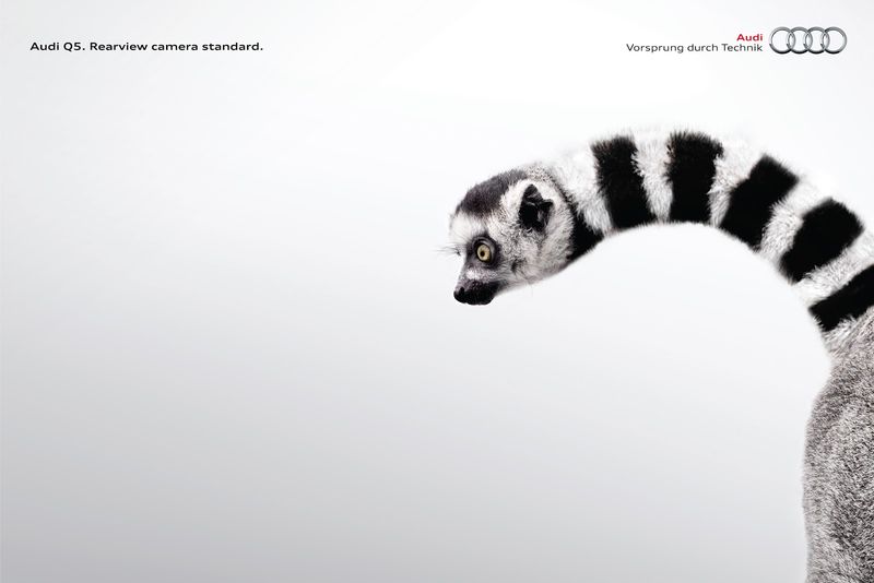 Mutated Animal Ads