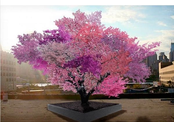 Top 90 Eco Ideas in August