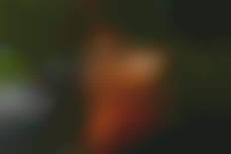 Rustic Leather Accessories