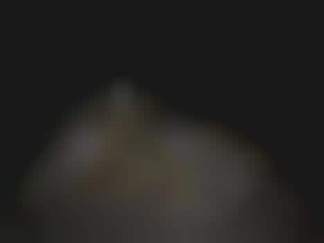 Unusual Pirate Branding