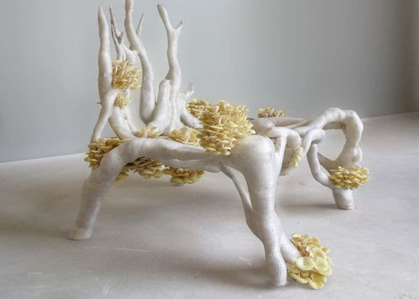 98 Unexpected 3D-Printed Products