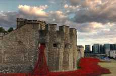 Spewing Poppies Installations