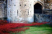 Spewing Poppies Installations Image 4