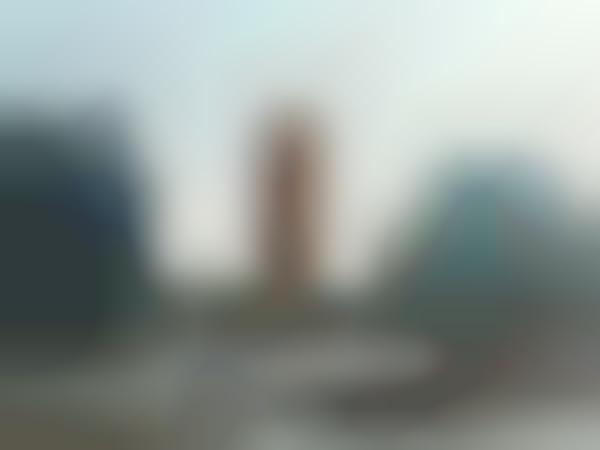 Continuously Curved Towers