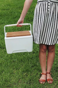 DIY Cooler Designs Image 5