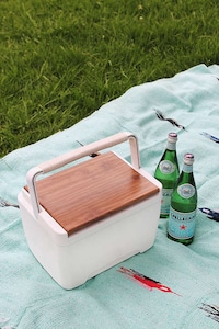 DIY Cooler Designs Image 7