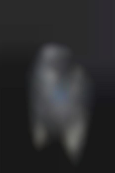 Accessorized Dog Photography