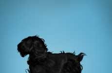 Hairy Dog Silhouette Ads