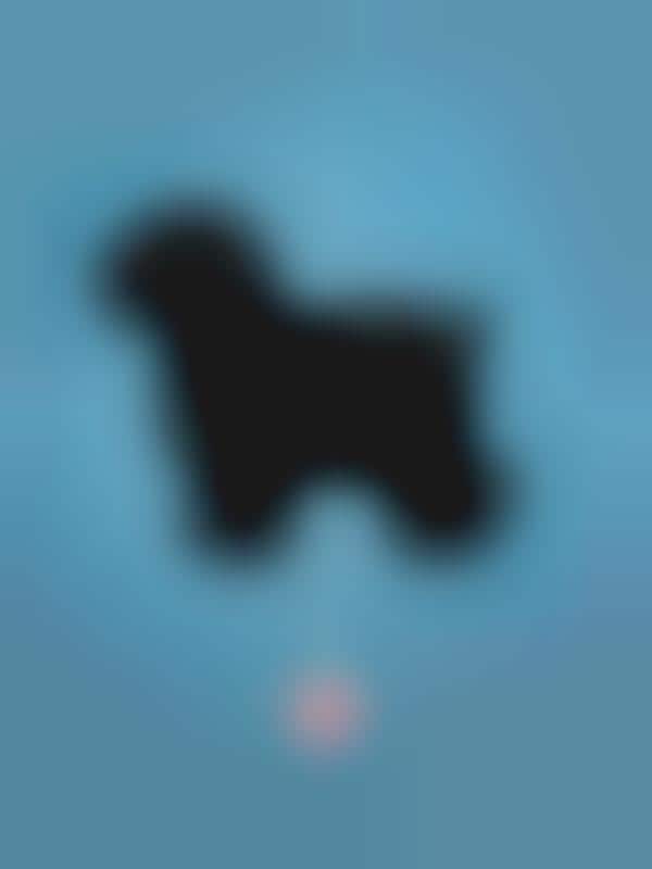 Hairy Dog Silhouette Ads