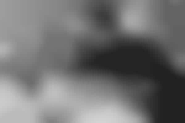 Heartbreaking Stillborn Baby Photography