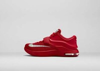 Travel-Inspired Basketball Shoes Image 3