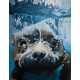 Giant Underwater Dog Murals Image 5