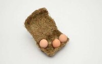 Eco-Friendly Egg Packaging Image 3