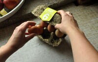 Eco-Friendly Egg Packaging Image 4