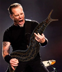Slimy Guitar Replacement Tumblrs Image 8
