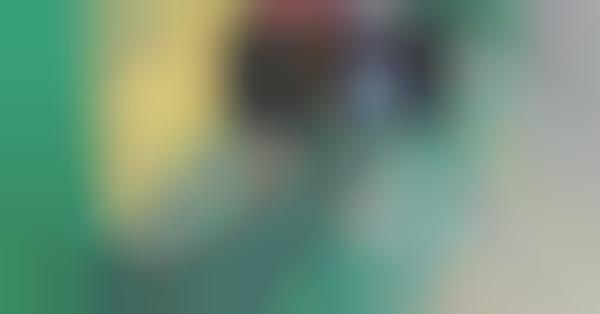 GoPro Selfie Attachments