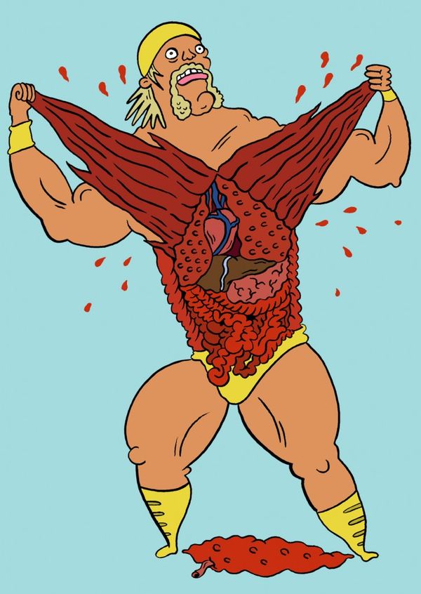 14 Hulk Hogan Appearances