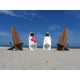 Surfboard Beach Chairs Image 7