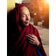 Heartwarming Monk Photography Image 3