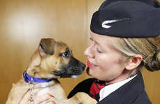 Pet-Centric Airline Channels