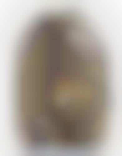 biodome spike backpack