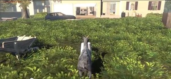 40 Simulation Video Games