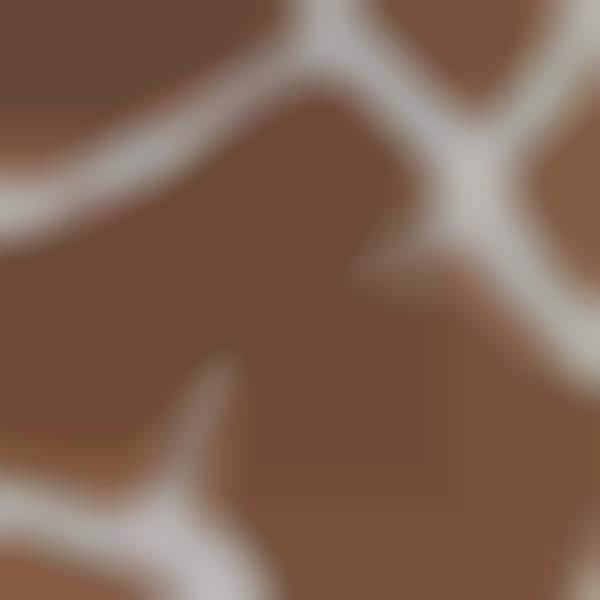 Animal Hide Photography