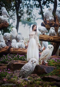 Stunning Magical Photography Image 6