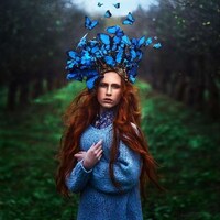 Stunning Magical Photography Image 8