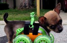 3D-Printed Chihuahua Wheelchairs
