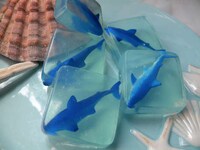 Ocean Predator Soaps Image 4