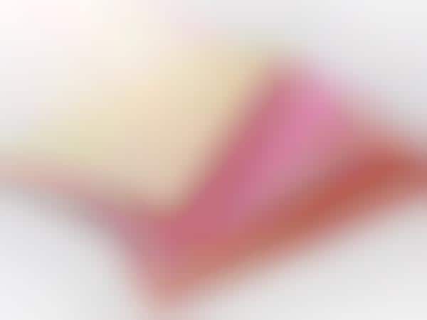 Paper Blush Applicators