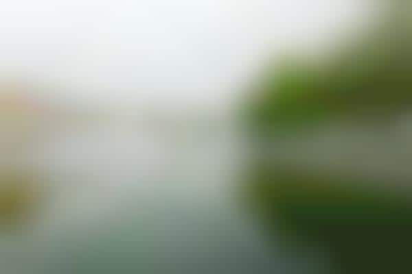 Foggy Museum Installations