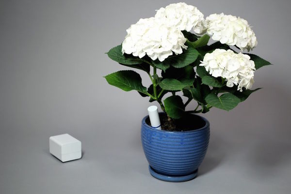 Flora-Monitoring Gadgets