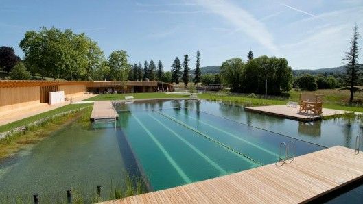 Chemical-Free Swiming Pools